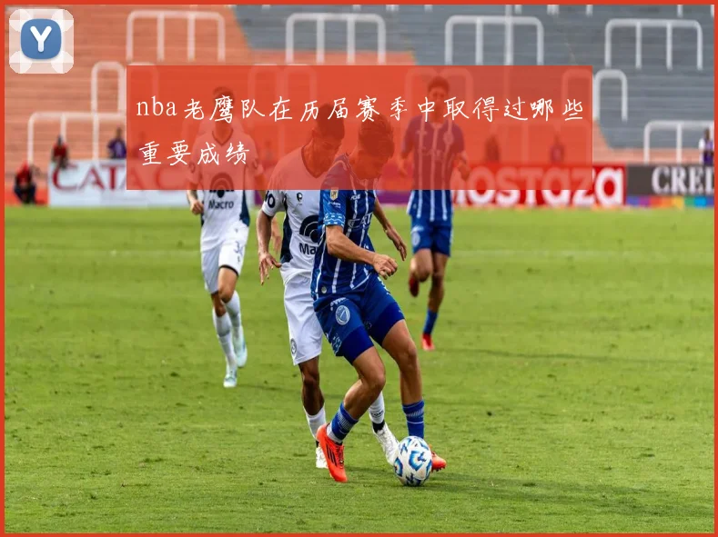 nba老鹰队在历届赛季中取得过哪些重要成绩