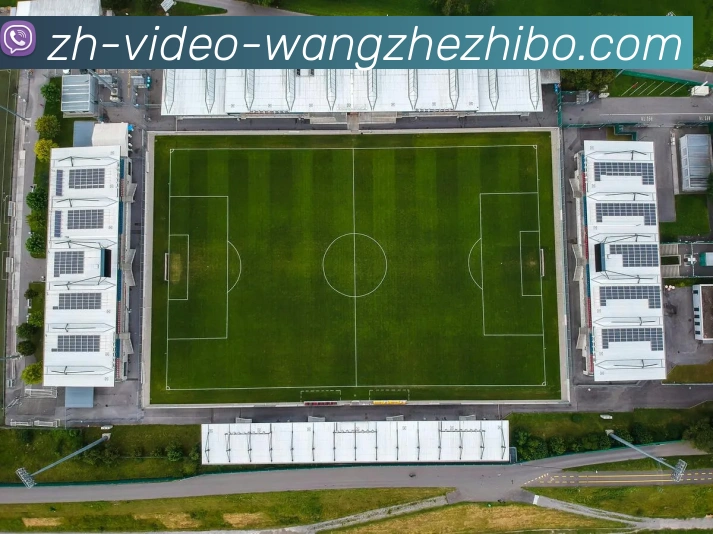 王者体育品牌故事