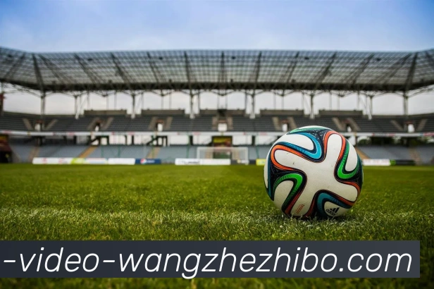 王者体育服务体系