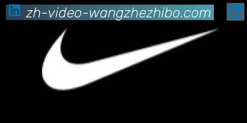 王者体育合作伙伴