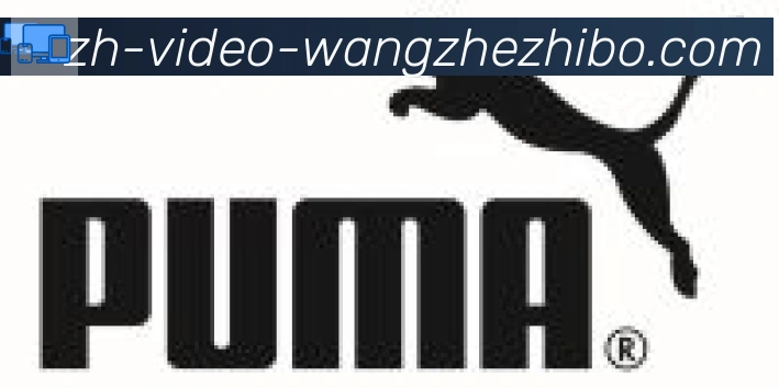 王者体育合作伙伴